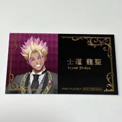 ブルーロック 執事 アニメイトフェア 特典 名刺風カード 士道龍聖