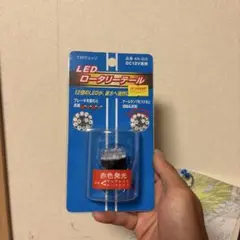 クルクルテール ウェッジタイプ