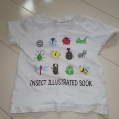 Item thumbnail for item 1e6aaf92-6826-40a3-b082-373db8ee10bd