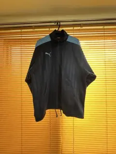 Item thumbnail for item 5881a45c-efda-41e7-b887-aa3259ef1eb7