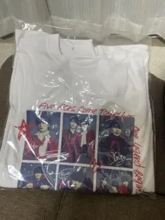 新品未開封*ACEes Arena Tour 2026 “V” ツアー Tシャツ - メルカリ