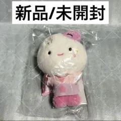 aespa カリナ ぬいぐるみ 7cm 미니찌먕 2点セット マスター 新品 aespa カリナ ぬいぐるみ 40cmドール ジミンニャン 新品未開封