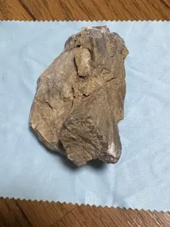 ハイアライトオパール　魚卵状珪石　バクテリアコロニー　蛍光オパール　然別　原石 ハイアライトオパール 魚卵状珪石 バクテリアコロニー 蛍光オパール