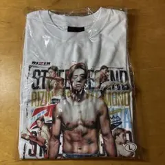 Item thumbnail for item dd89c7c7-5a9f-4e90-aebe-8fdad1542eeb