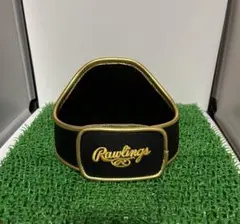 【非売品】グラブスタンド ローリングスのサムネイル