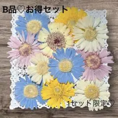 ちぃ君ママ様 リクエスト 2点 まとめ商品