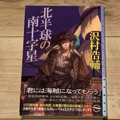 ★初版帯付 沢村浩輔 北半球の南十字星 東京創元社 ミステリ・フロンティア