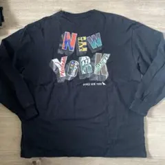 AVIREX THE EMPIRE CITY COLLECTION 長袖Lのサムネイル