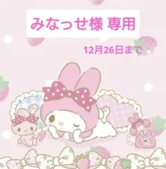 みなっせ様 専用