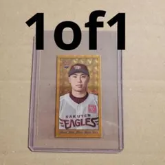 Item thumbnail for item 91041390-5ad6-4f15-85a5-0ddd45332961