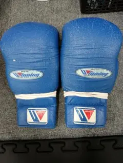 Item thumbnail for item 65debae6-9862-45e7-8703-5b13ad1a44cd