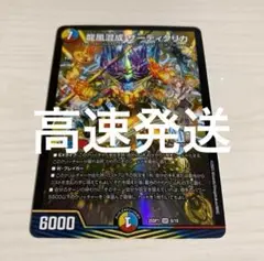 龍風混成 ザーディクリカ ドラゴン娘 1枚　6