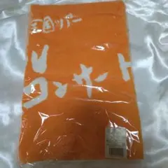 値下　全国ツアー コンサート タオル HIROSHIMA　KinKi Kids