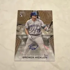 Item thumbnail for item e9286094-240b-40bd-9406-3fff73da08b2