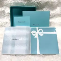 新品未使用✨　Tiffany&Co. ブルーボウ　デザートプレート　2枚セットのサムネイル