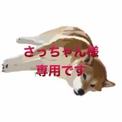 さっちゃん様　専用です。