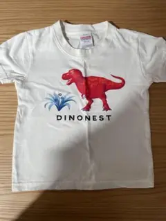 福井県立恐竜博物館購入のTシャツ