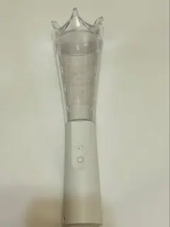 嵐 We are ARASHI 2026 ペンライト 1本