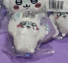 専用ページ