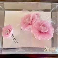 Item thumbnail for item afd1c3ec-e2bb-47bc-80d2-e8c295c4d754