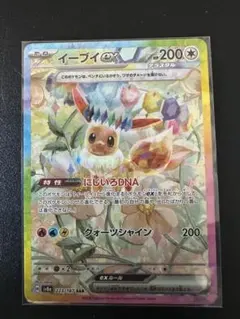 ポケモンカードゲームテラスタルフェスexイーブイex 「美品」
