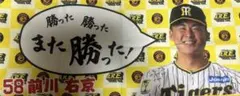 阪神タイガースシークレットタオル