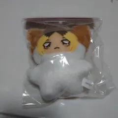 孤爪研磨　ちみけも