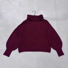 【レイカズンフェバリ】（F）ニット ローゲージ ハイネック カジュアル 長袖