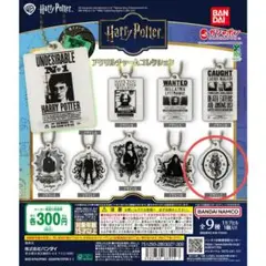 【新品・未開封】ハリー・ポッター アクリルチャームコレクション I