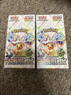 ポケモンカード　新品未開封 テラスタルフェスex　2box 箱のまま発送