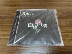 V系 SKULL CD 自作自演 1000枚限定
