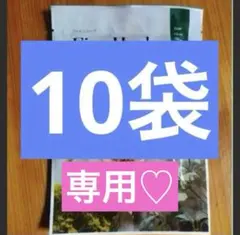 2025年最新】yosa ハーブの人気アイテム - メルカリ