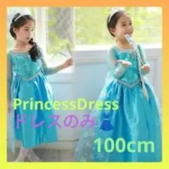 エルサプリンセス ドレス コスプレ アナ雪 ブルー 誕生日 発表会 100cm