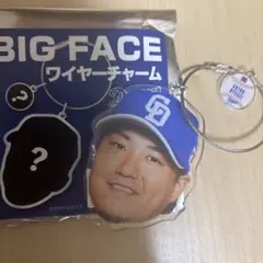 新品　佐藤龍世選手　65 BIG FACE ワイヤーチャーム　中日ドラゴンズ