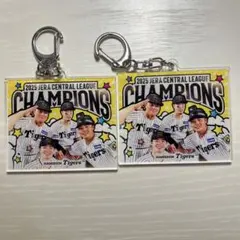 2025年最新】シークレットキーホルダー 阪神の人気アイテム - メルカリ