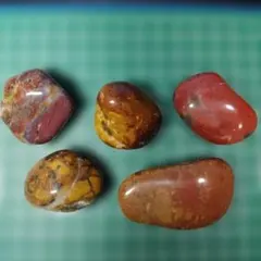 たに様 リクエスト 2点 まとめ商品