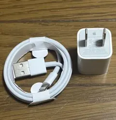 Apple純正 USB電源アダプタ5Wとlightningケーブル セット
