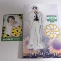 八木勇征 シクレ フォトカ アクスタ