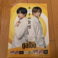 非売品　meiji galbo クリアファイル A4サイズ