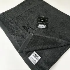 Item thumbnail for item 9ba8fc5a-8d63-4c94-ad6f-6394119f261a