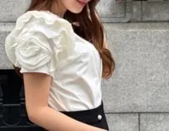 herlipto Vol.2 Rose Sleeve Top - メルカリ