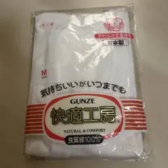 GUNZE 快適工房 Mサイズ 下着 綿100%