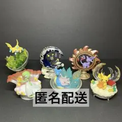 ポケモン 星降る夜のスターリウム 全種セット リーメント