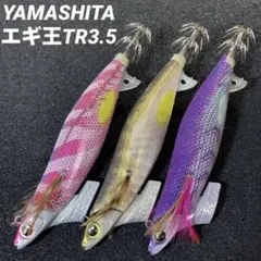 2025年最新】エギ廃盤の人気アイテム - メルカリ