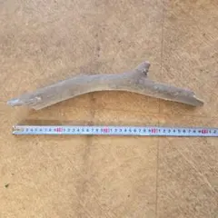 Item thumbnail for item a69def6e-6b4a-401c-8be6-ce717cd49849