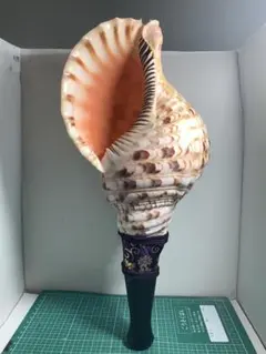 2025年最新】法螺貝網の人気アイテム - メルカリ