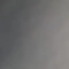 がちん様せんよう