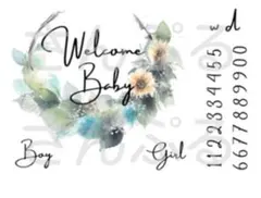 マタニティペイントシール　ベリーペイントシール