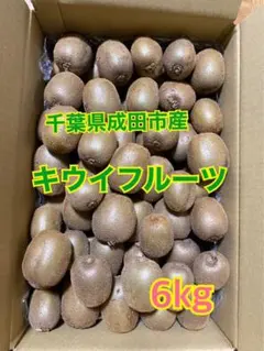 千葉県成田市産キウイフルーツ 6kg