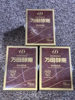 セキグチ 設立100周年記念 祝賀会 参列 記念品 ピンズ モンチッチ 3691